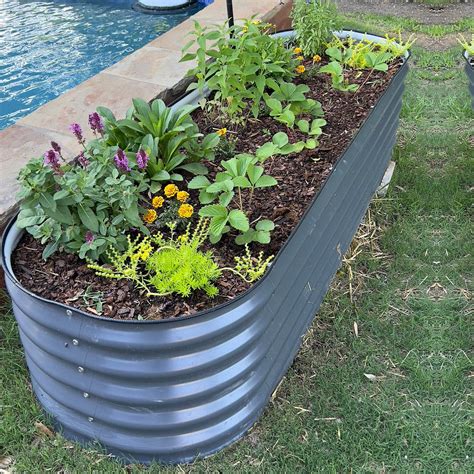 Metal raised garden bed 